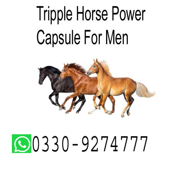 3 Horse